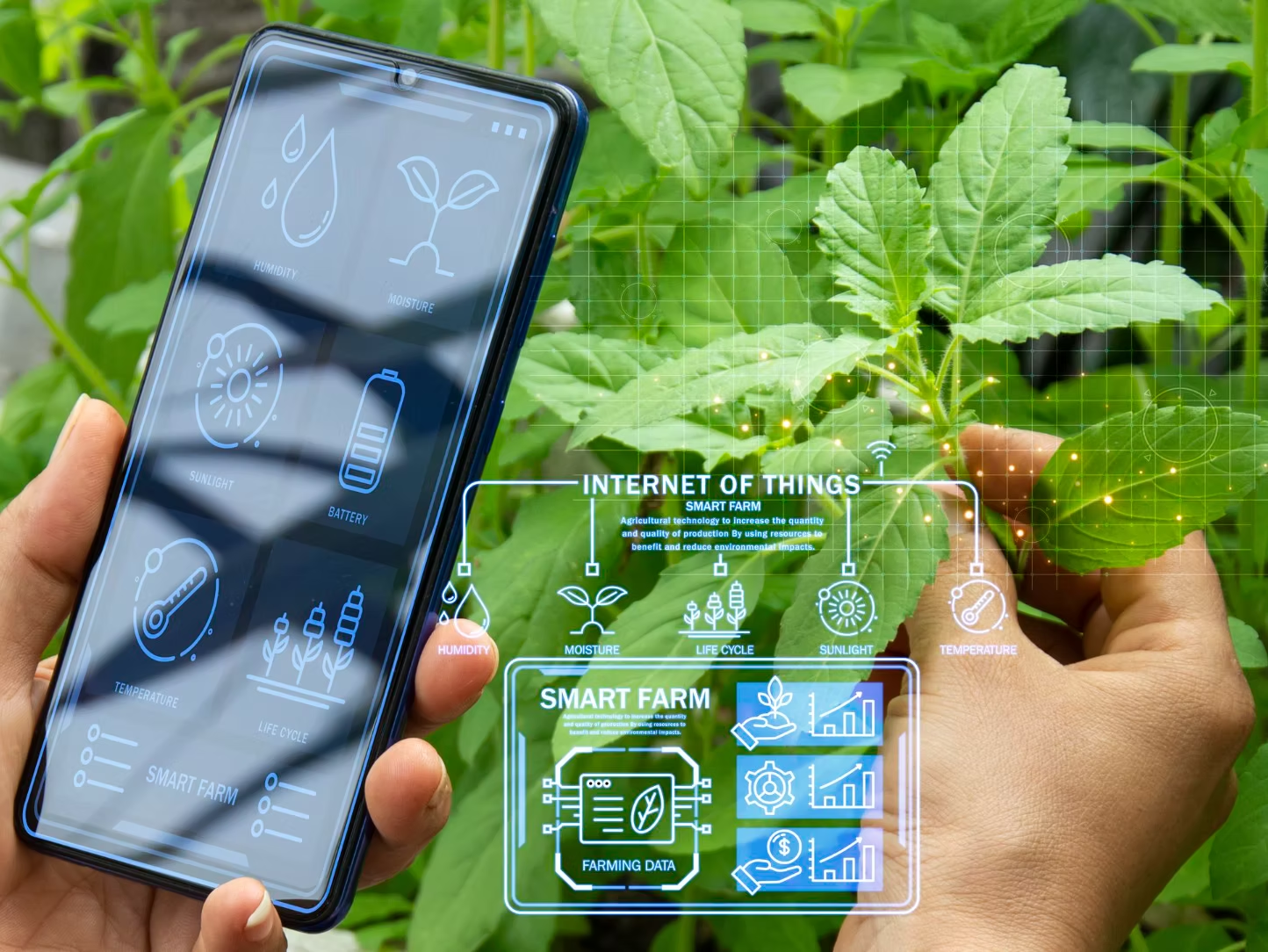 Girls in Agriculture and Climate-Smart Technology programme